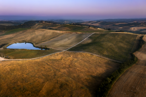 daniele scalera drone fotografia siena