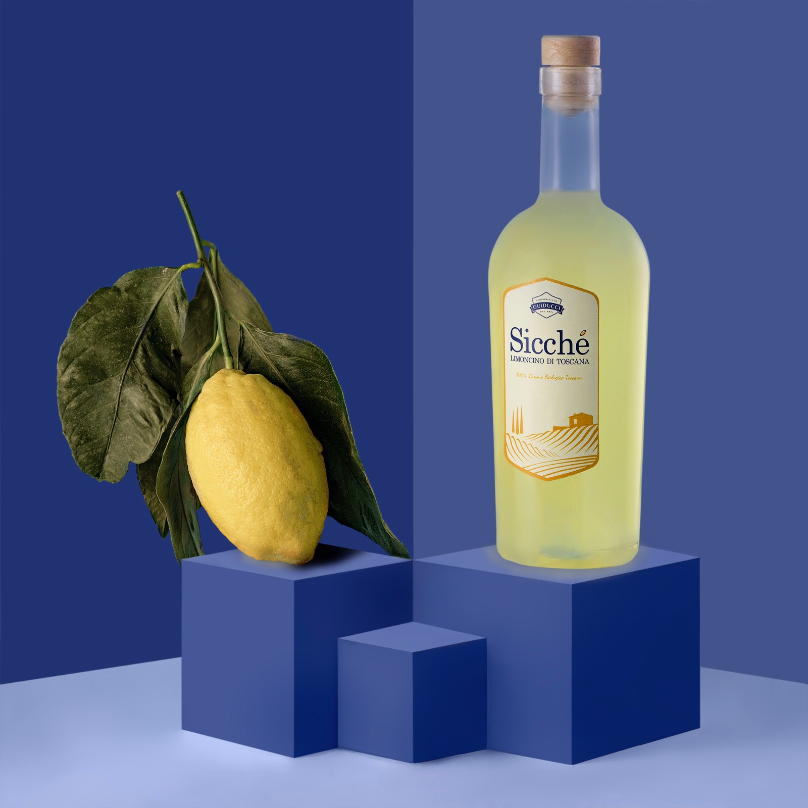 Home daniele scalera fotografo still life limoncello sicché