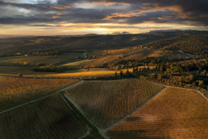 drone toscana chianti daniele scaleradji 0561 migliorato nr